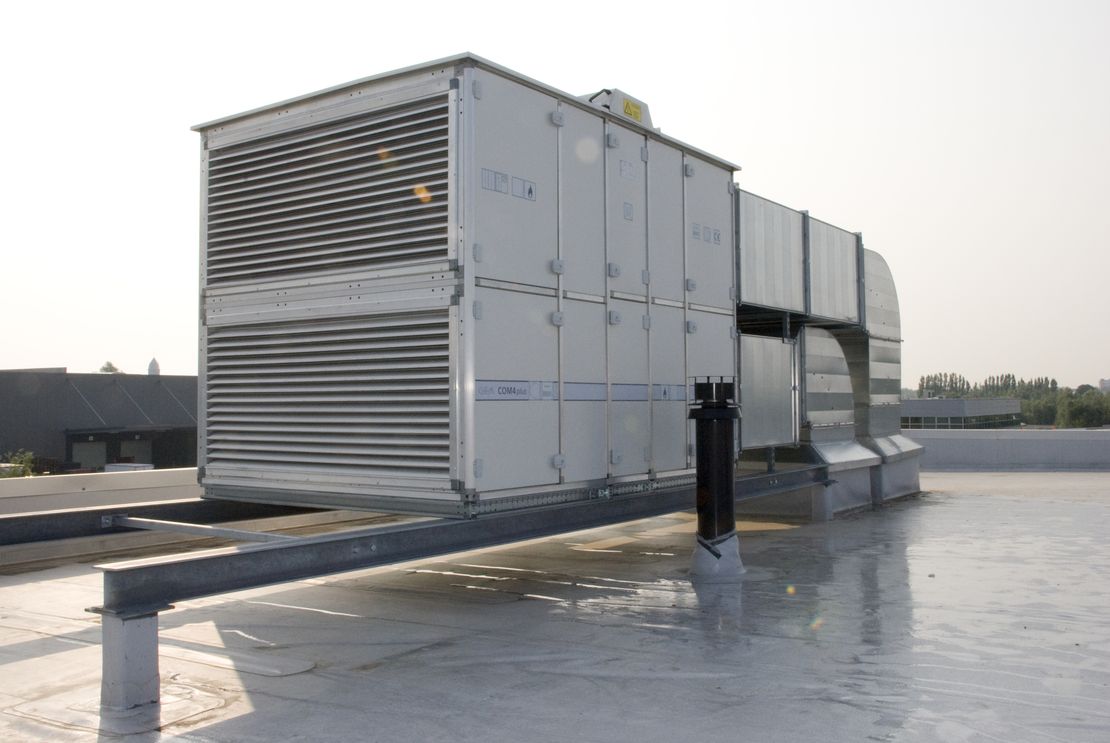 gabbanaelcom dsc 2098